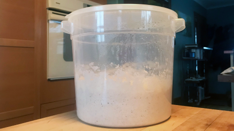 Cambro tub, with sourdough starter